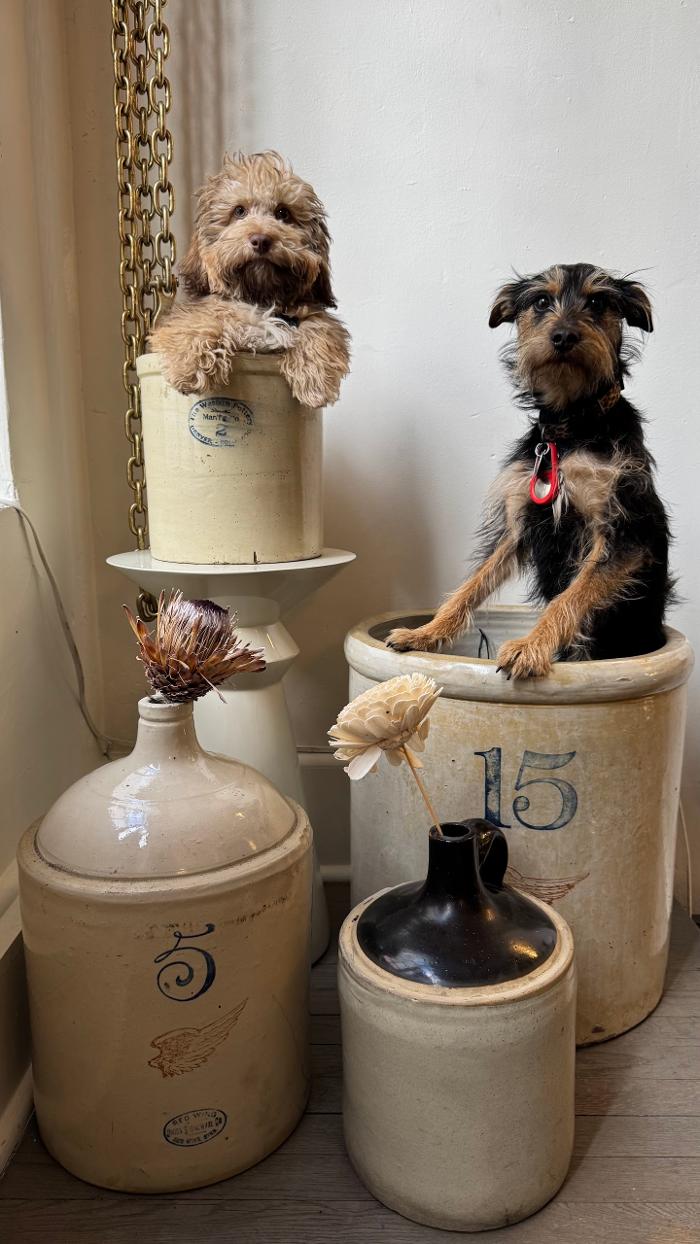 Modern Nomad Home Image