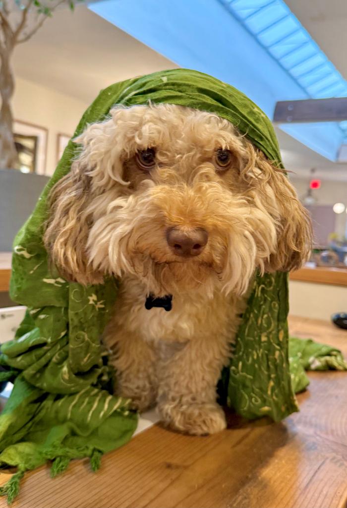 Modern Nomad Home Image