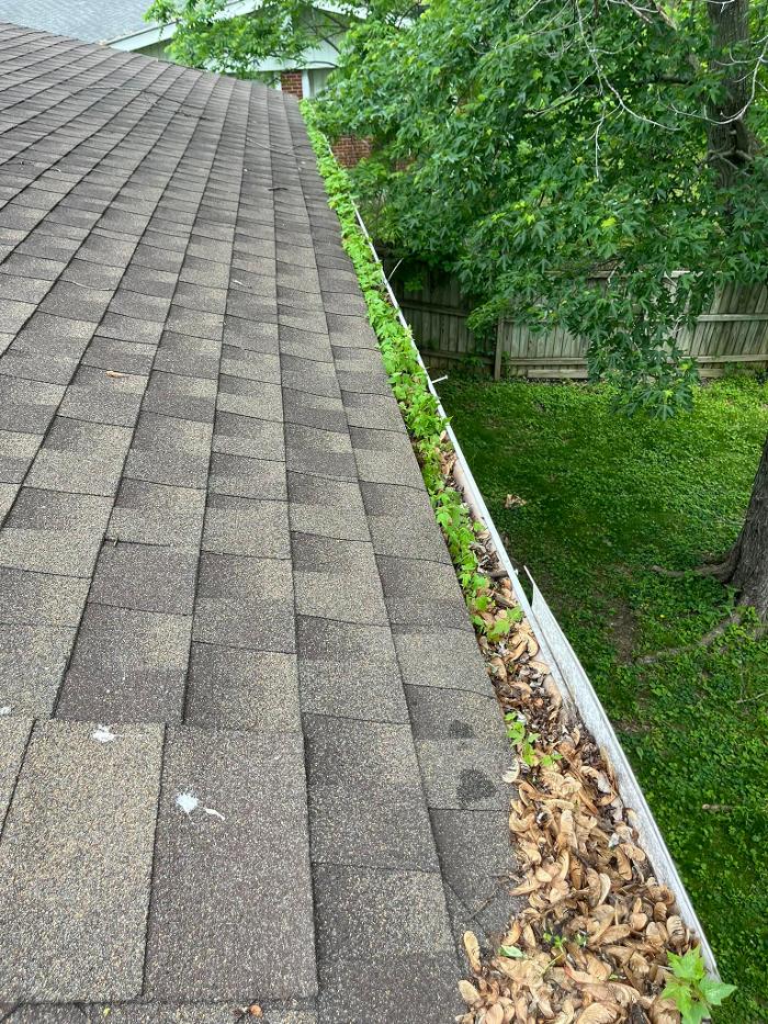 NKY Home Service Image