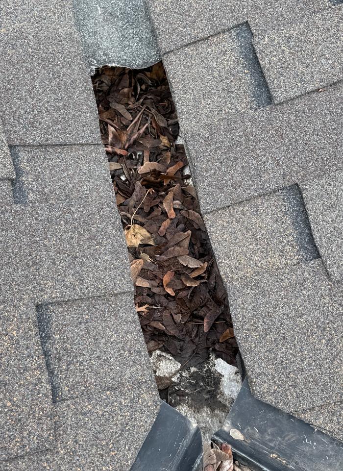 Treasure Valley Gutter Cleaning Image