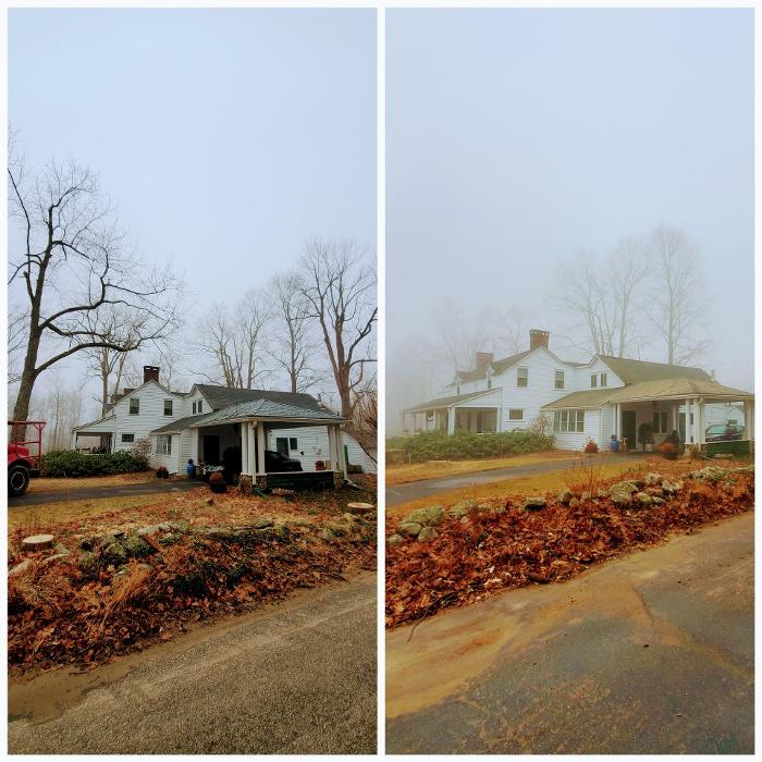 Happy Stump Tree Service Image