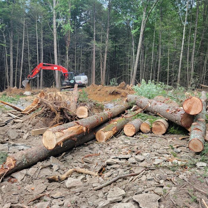 Happy Stump Tree Service Image