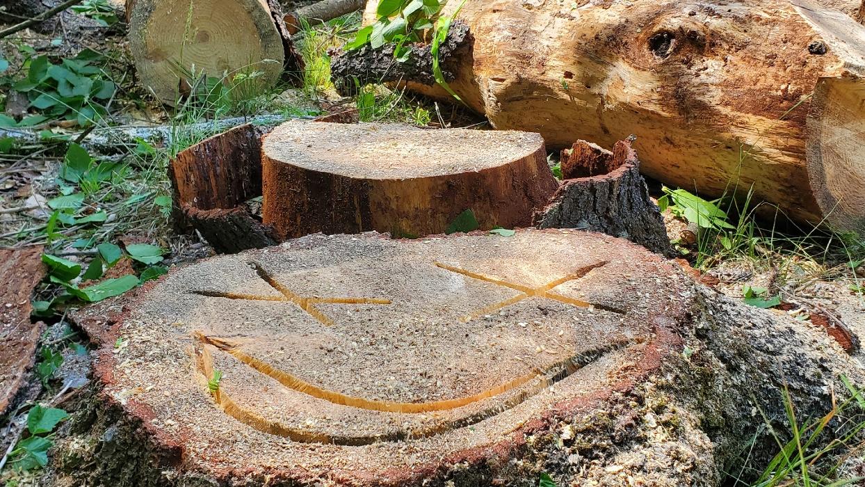 Happy Stump Tree Service Image