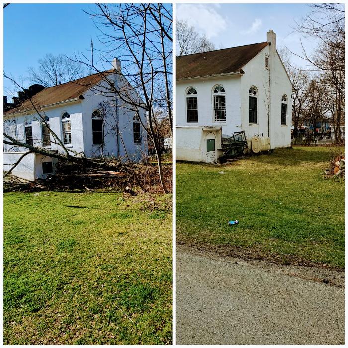 Happy Stump Tree Service Image