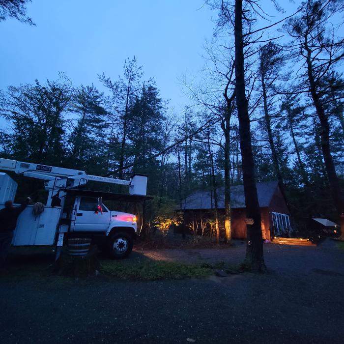 Happy Stump Tree Service Image