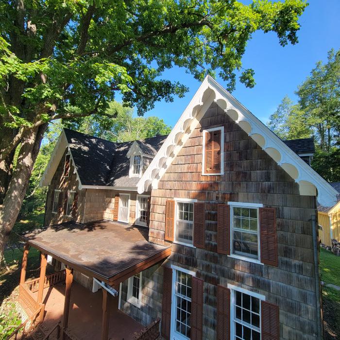 Happy Stump Tree Service Image