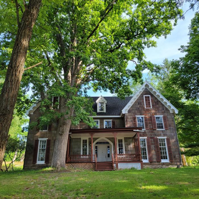 Happy Stump Tree Service Image