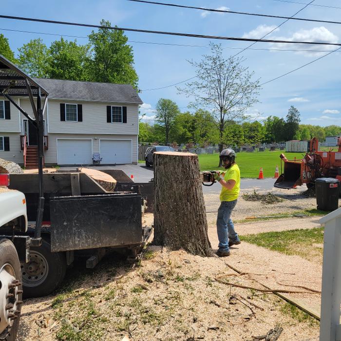 Happy Stump Tree Service Image