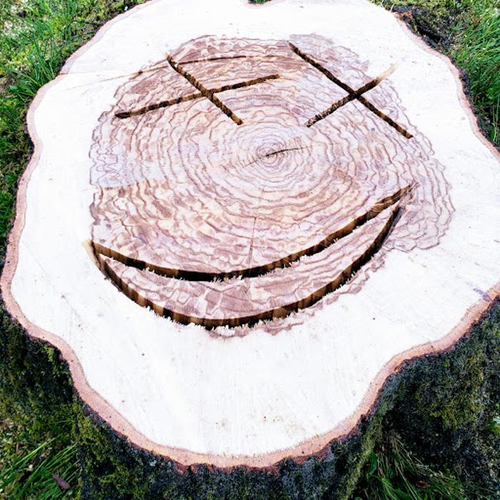 Happy Stump Tree Service Image