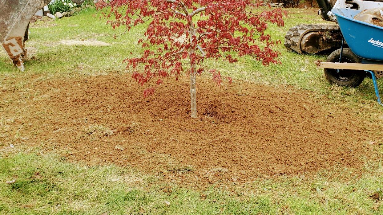 Happy Stump Tree Service Image