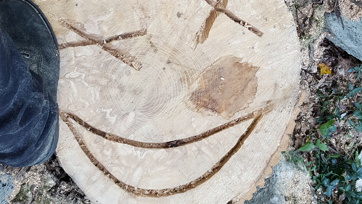 Happy Stump Tree Service Image