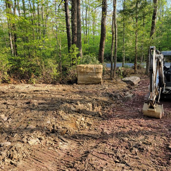 Happy Stump Tree Service Image