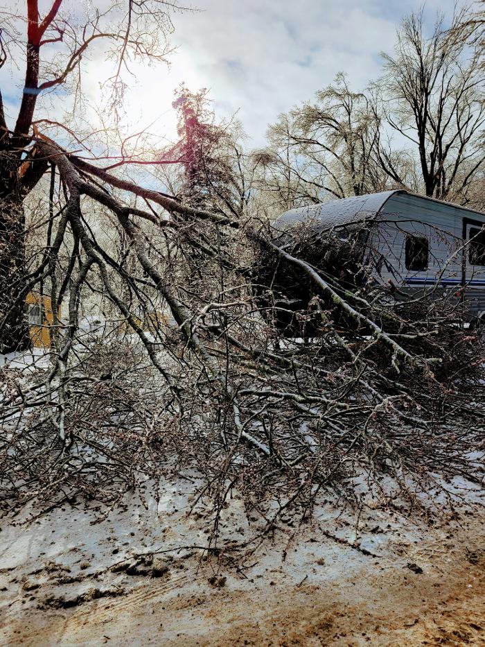 Happy Stump Tree Service Image