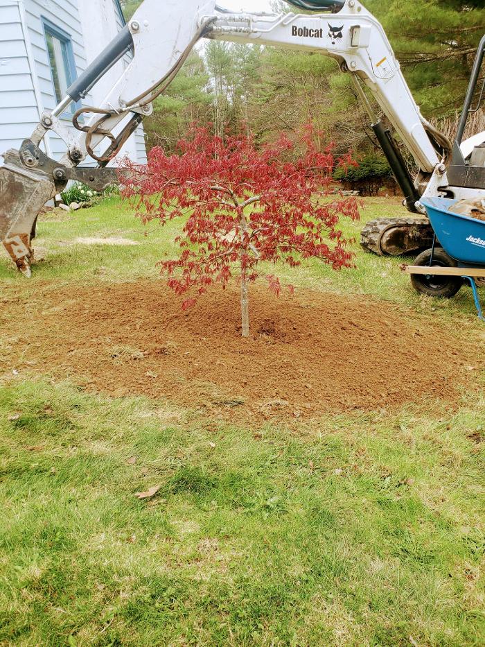 Happy Stump Tree Service Image