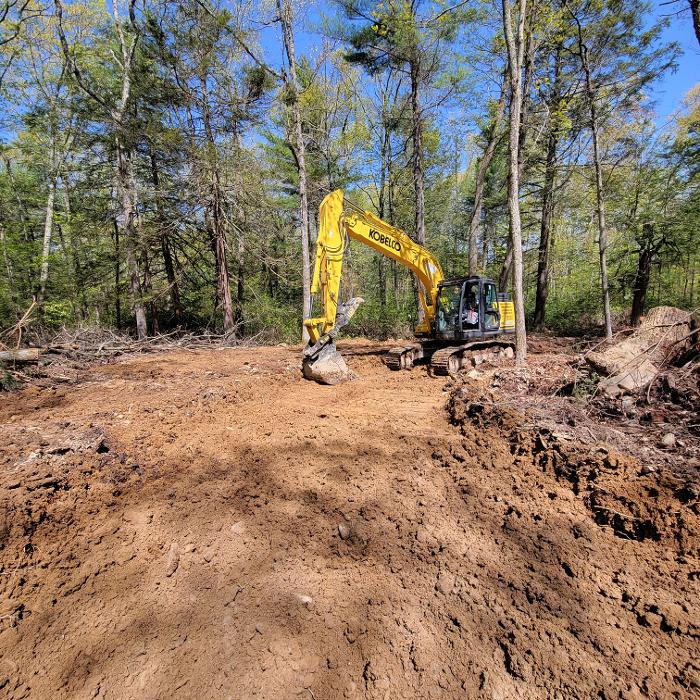 Happy Stump Tree Service Image