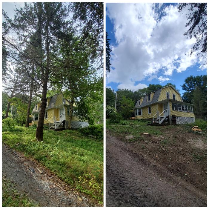 Happy Stump Tree Service Image