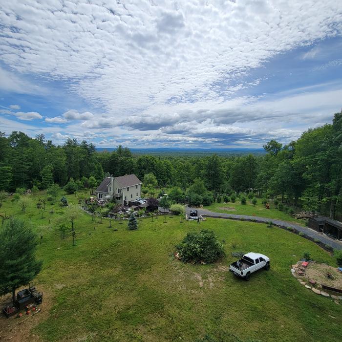 Happy Stump Tree Service Image