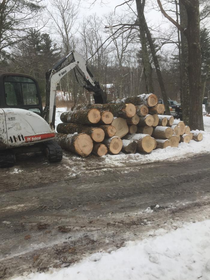 Happy Stump Tree Service Image