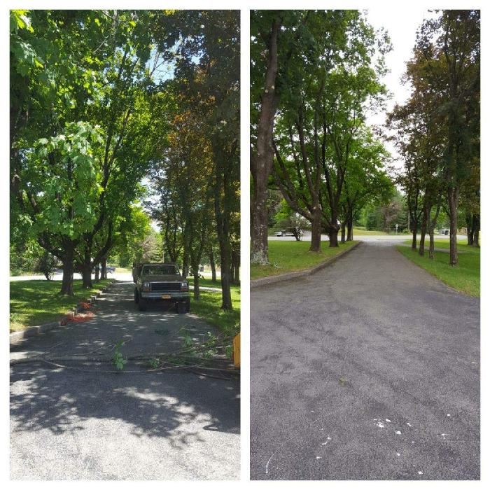 Happy Stump Tree Service Image