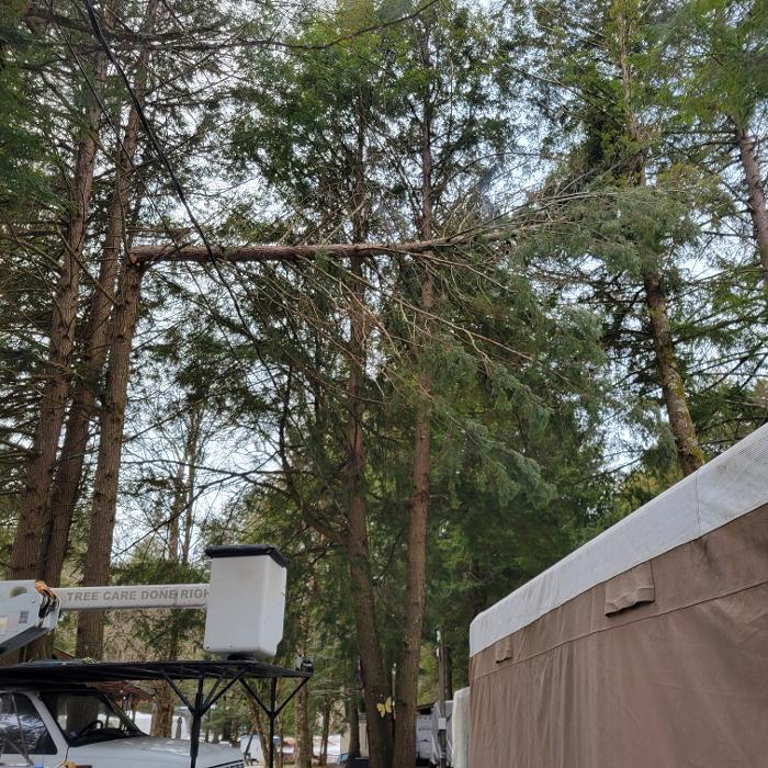 Happy Stump Tree Service Logo