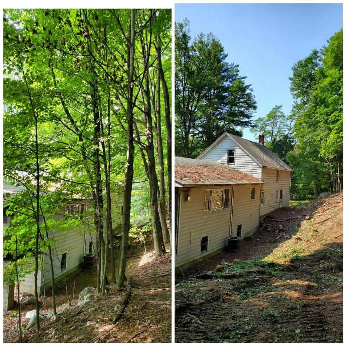 Happy Stump Tree Service Image