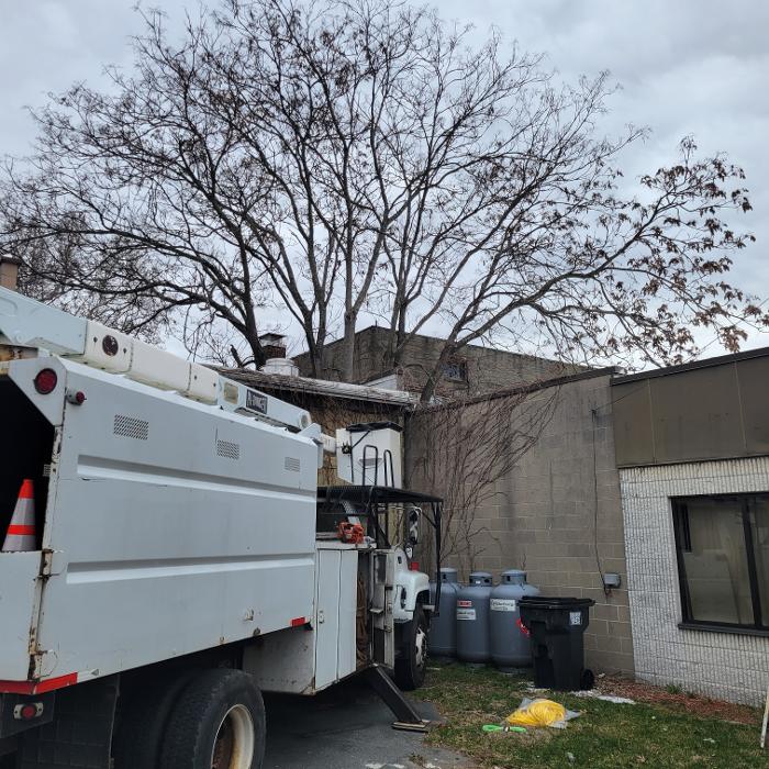 Happy Stump Tree Service Image