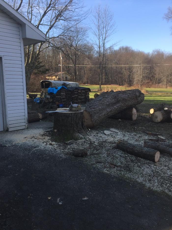 Happy Stump Tree Service Image