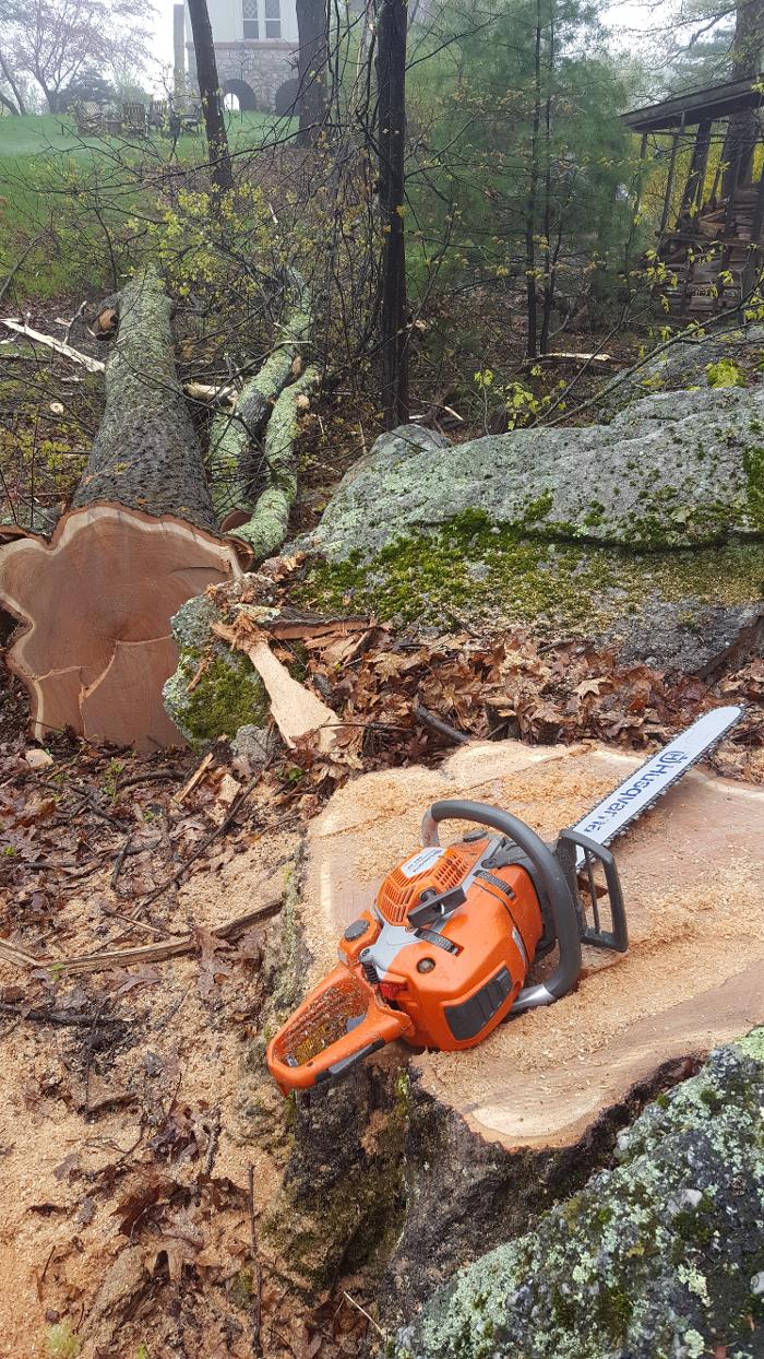 Happy Stump Tree Service Image