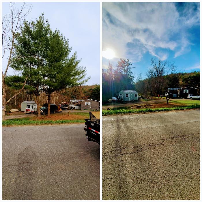 Happy Stump Tree Service Image