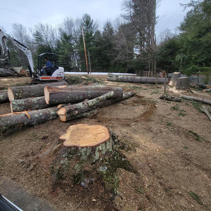 Happy Stump Tree Service Image