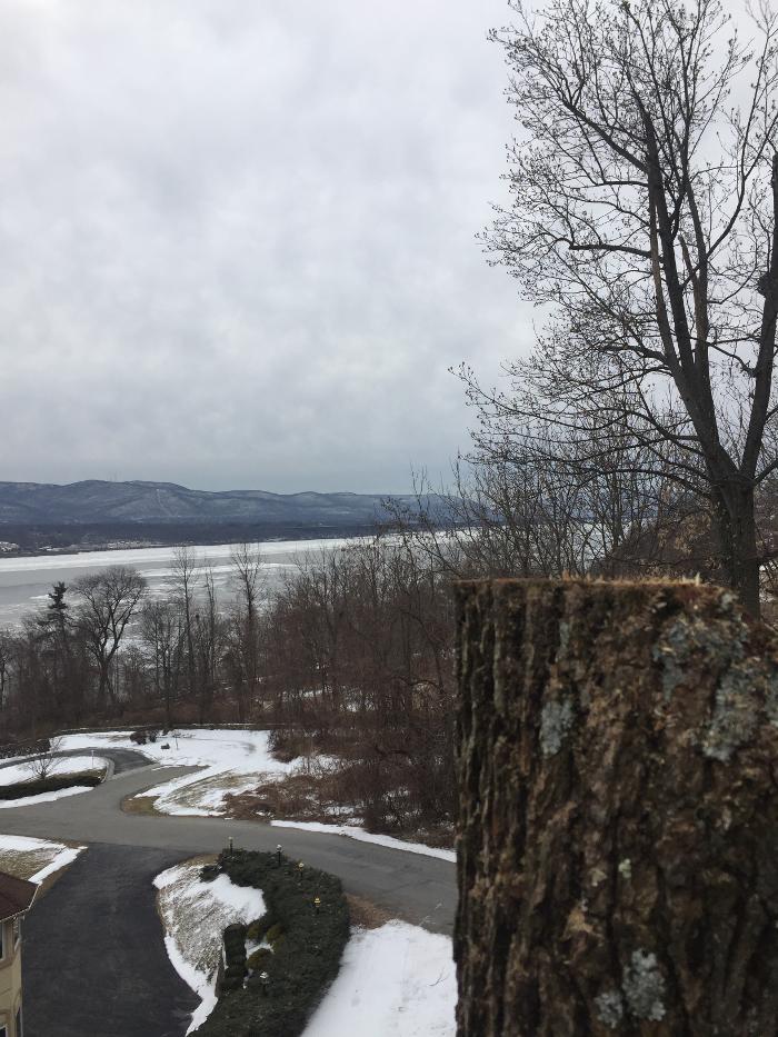 Happy Stump Tree Service Image