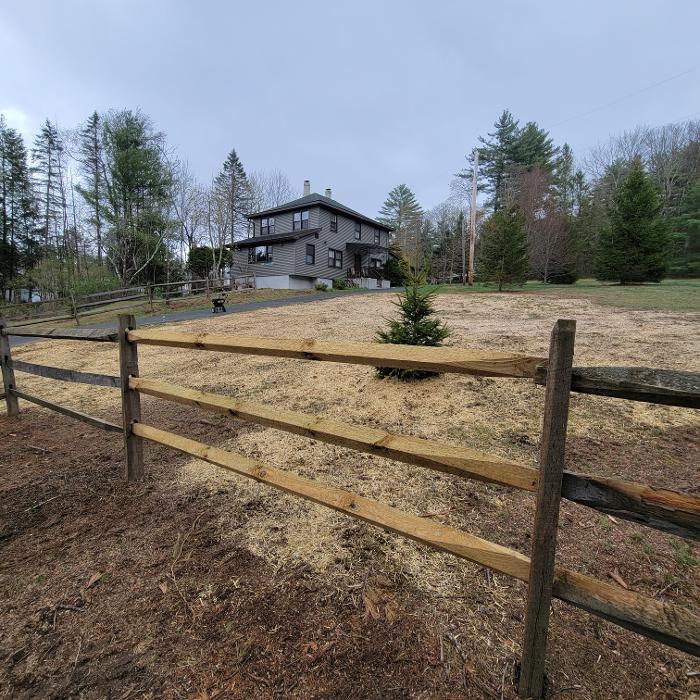 Happy Stump Tree Service Image