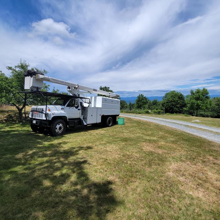 Happy Stump Tree Service Image