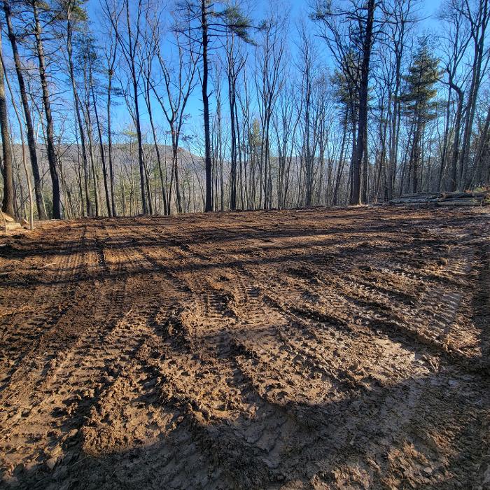 Happy Stump Tree Service Image