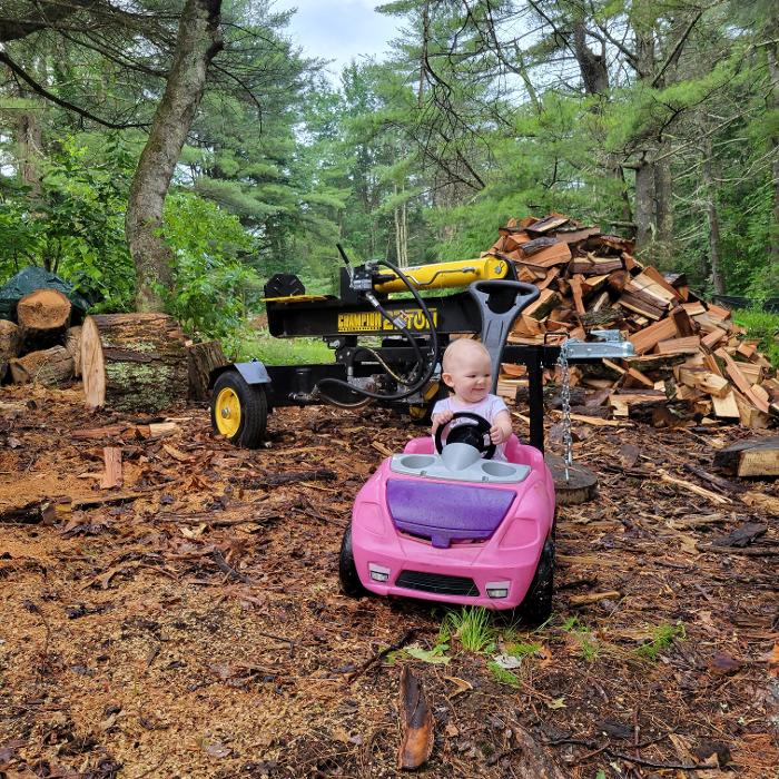 Happy Stump Tree Service Image