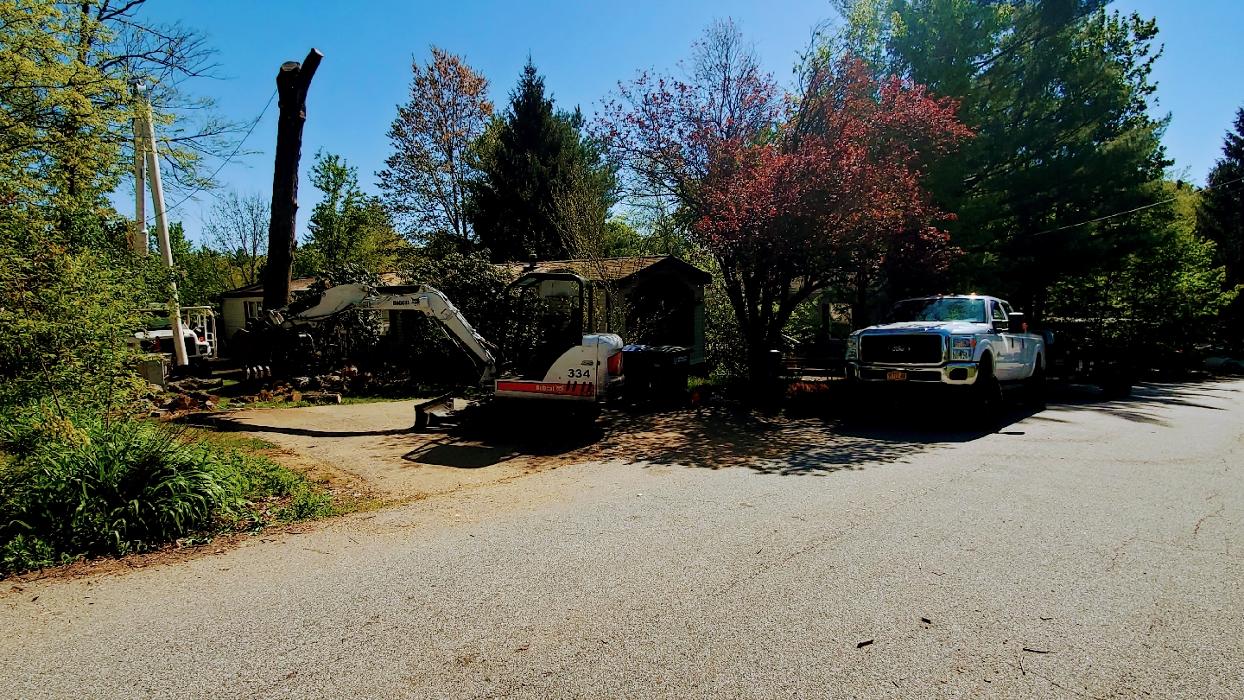 Happy Stump Tree Service Image