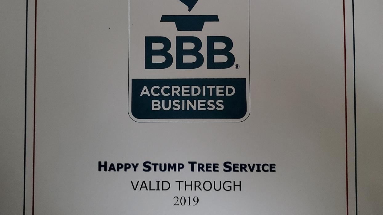 Happy Stump Tree Service Image