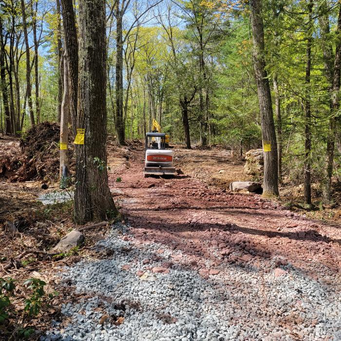 Happy Stump Tree Service Image