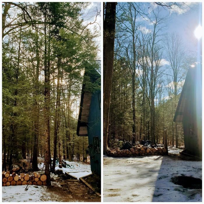 Happy Stump Tree Service Image