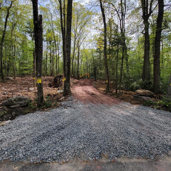 Happy Stump Tree Service Image