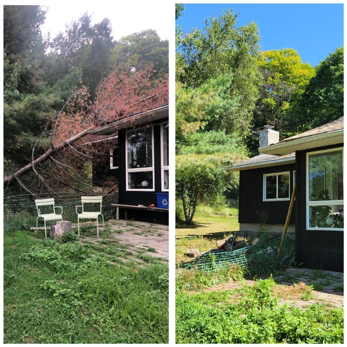 Happy Stump Tree Service Image