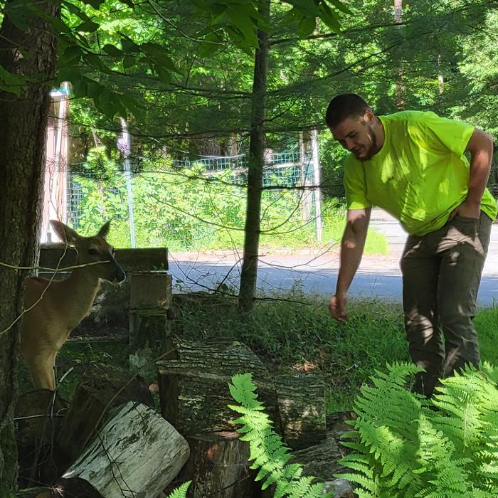 Happy Stump Tree Service Image