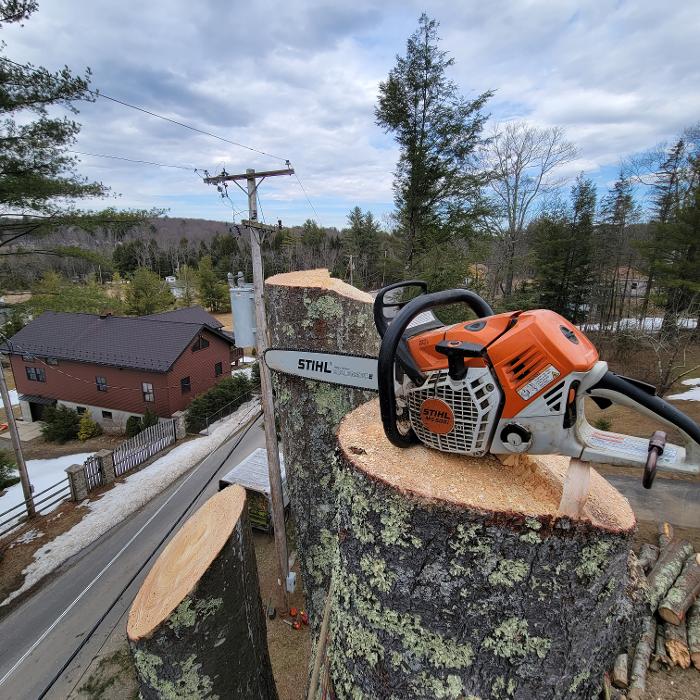 Happy Stump Tree Service Image