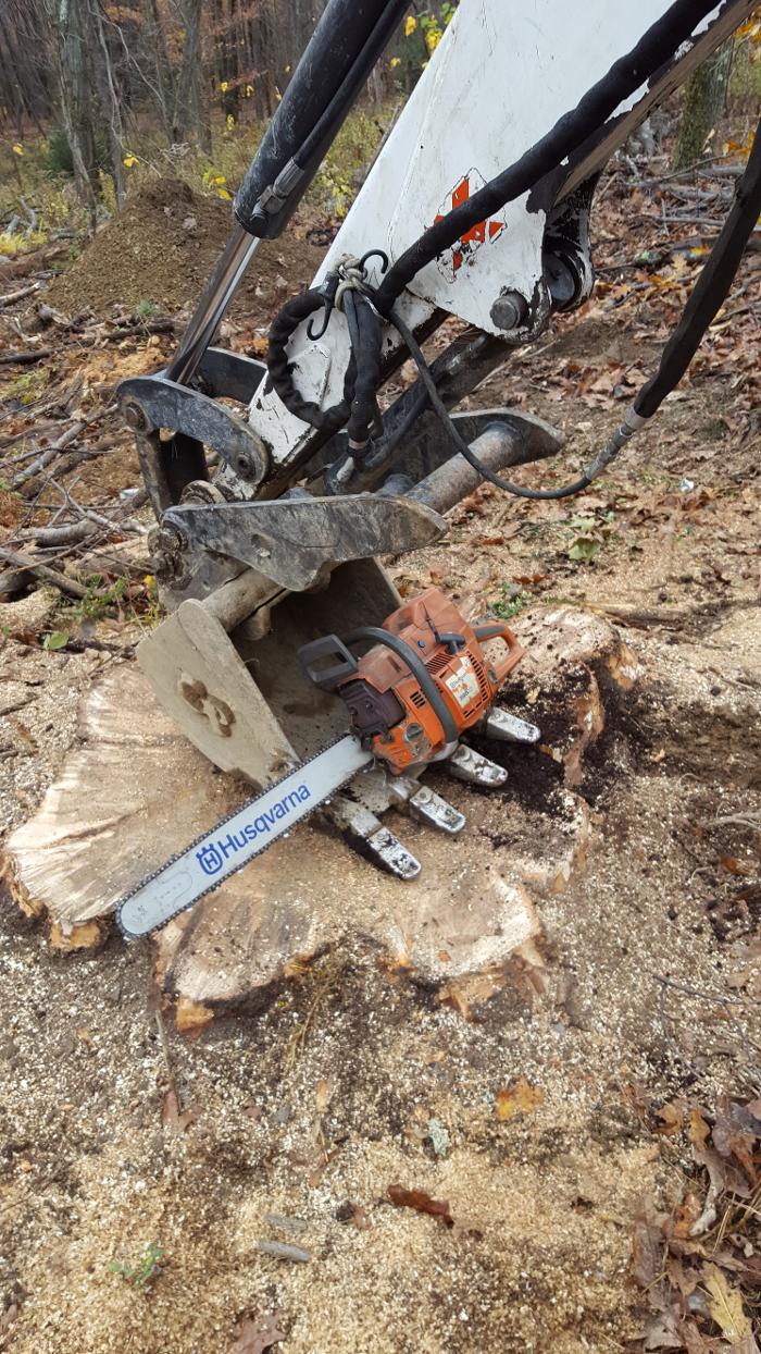 Happy Stump Tree Service Image