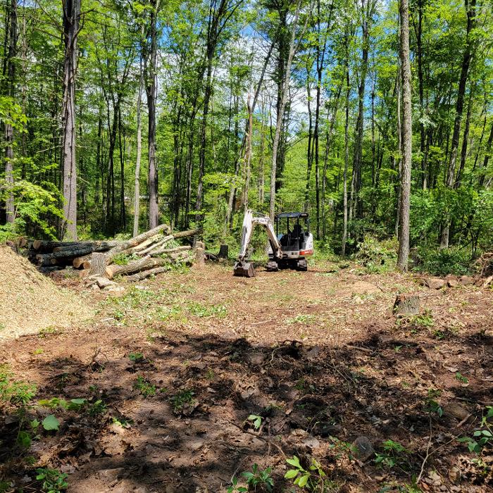 Happy Stump Tree Service Image