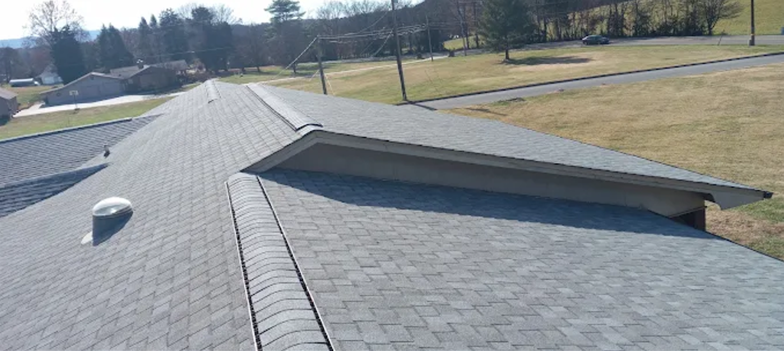 Omega 1 roofing Image