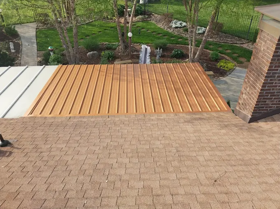 Omega 1 roofing Image