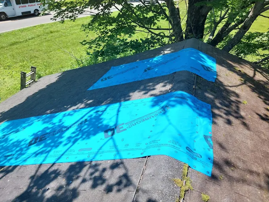 Omega 1 roofing Image