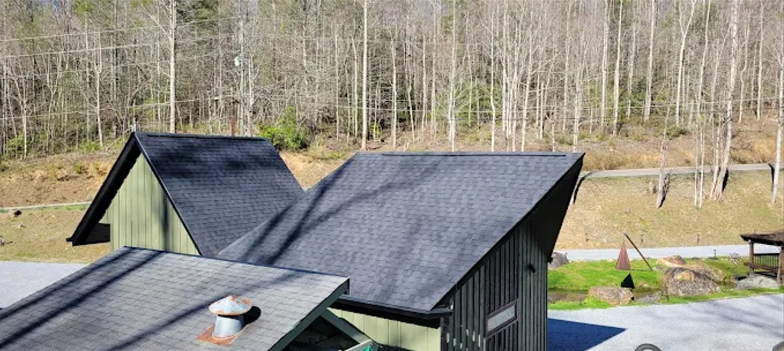 Omega 1 roofing Image