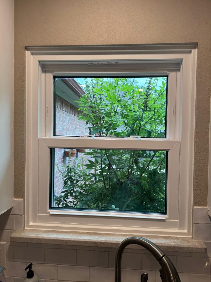 Legacy Windows Image